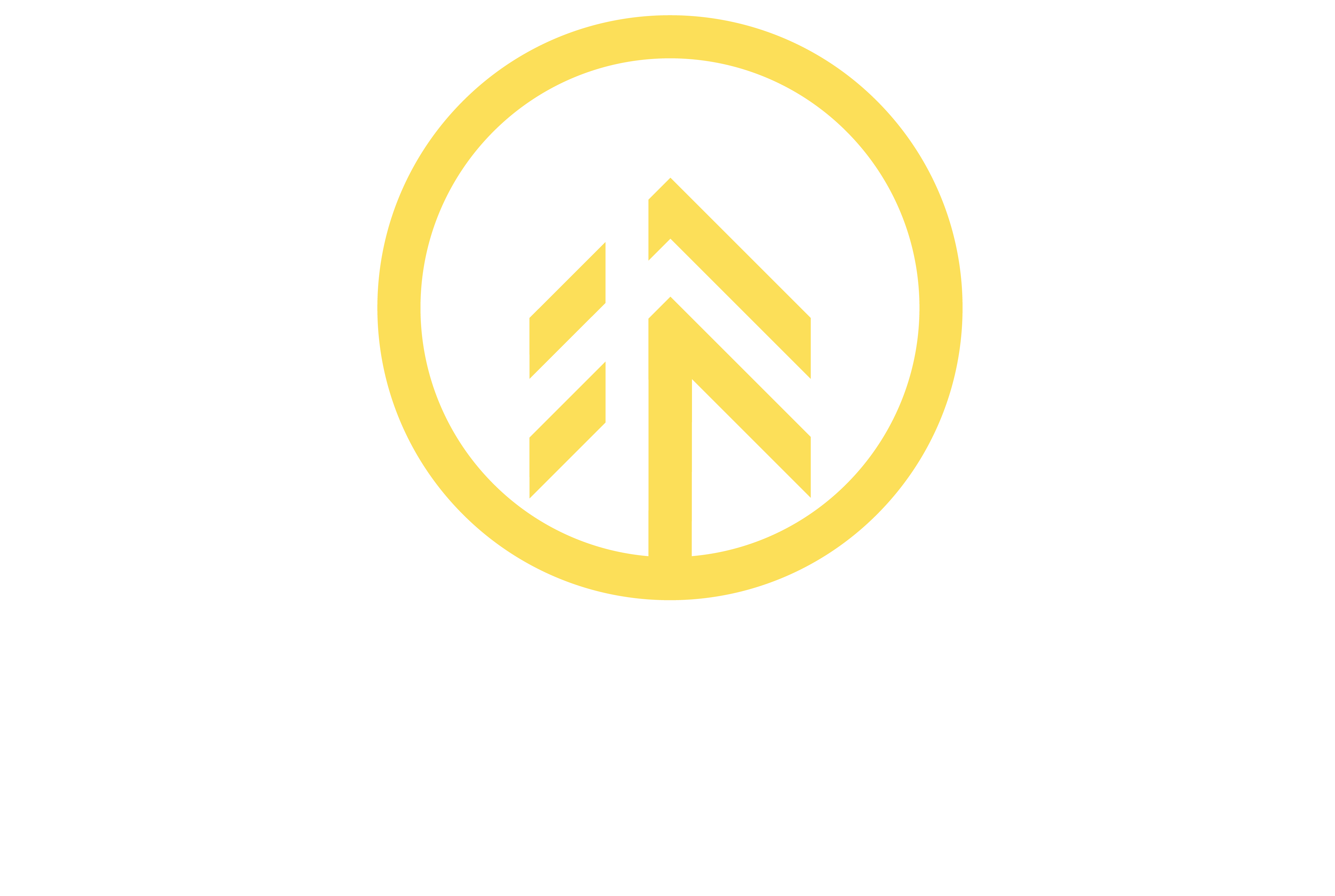 Fortunex-Ltd-yellow-white